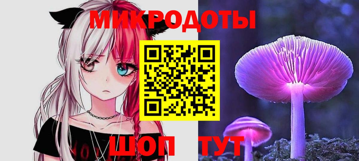 Галлюциногенные грибы Psilocybine cubensis Новоуральск